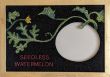 [Tony Pfaff Seedless Watermelon image]